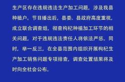 青海、甘肃回应“硫超标”枸杞问题 全面排查，严惩违规者