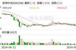 涉百亿元纠纷？新湖集团首度回应 无辜卷入，流动性承压