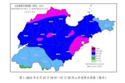 山东12市有大到暴雨