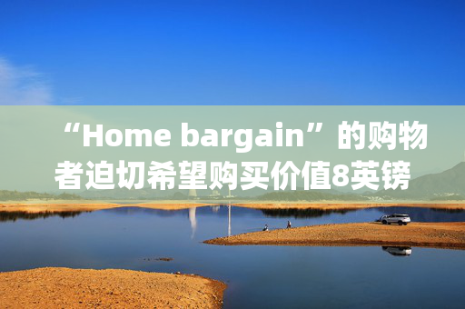 “Home bargain”的购物者迫切希望购买价值8英镑的“神奇”袜子填充物