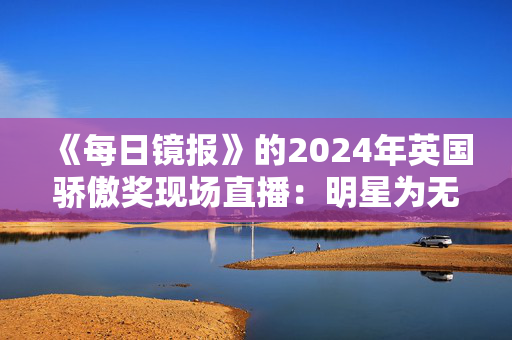 《每日镜报》的2024年英国骄傲奖现场直播：明星为无名英雄领奖