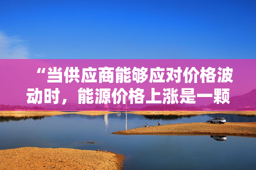 “当供应商能够应对价格波动时，能源价格上涨是一颗难以下咽的药丸。”