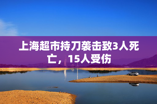 上海超市持刀袭击致3人死亡，15人受伤