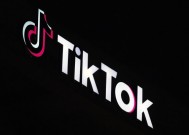 联邦上诉法院支持要求在美国销售或禁止TikTok的法律