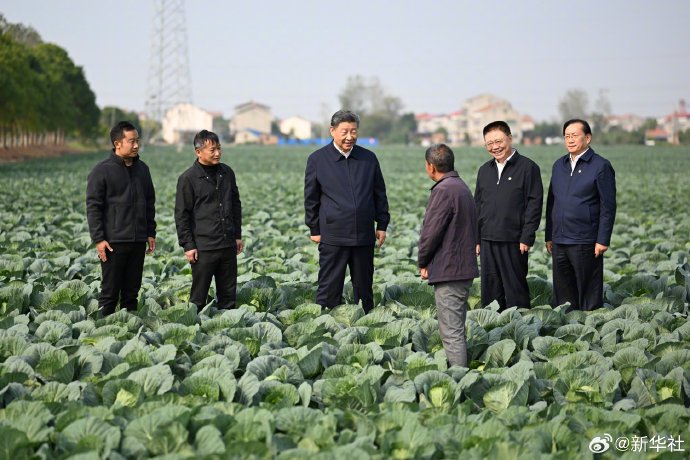 习近平在湖北考察调研